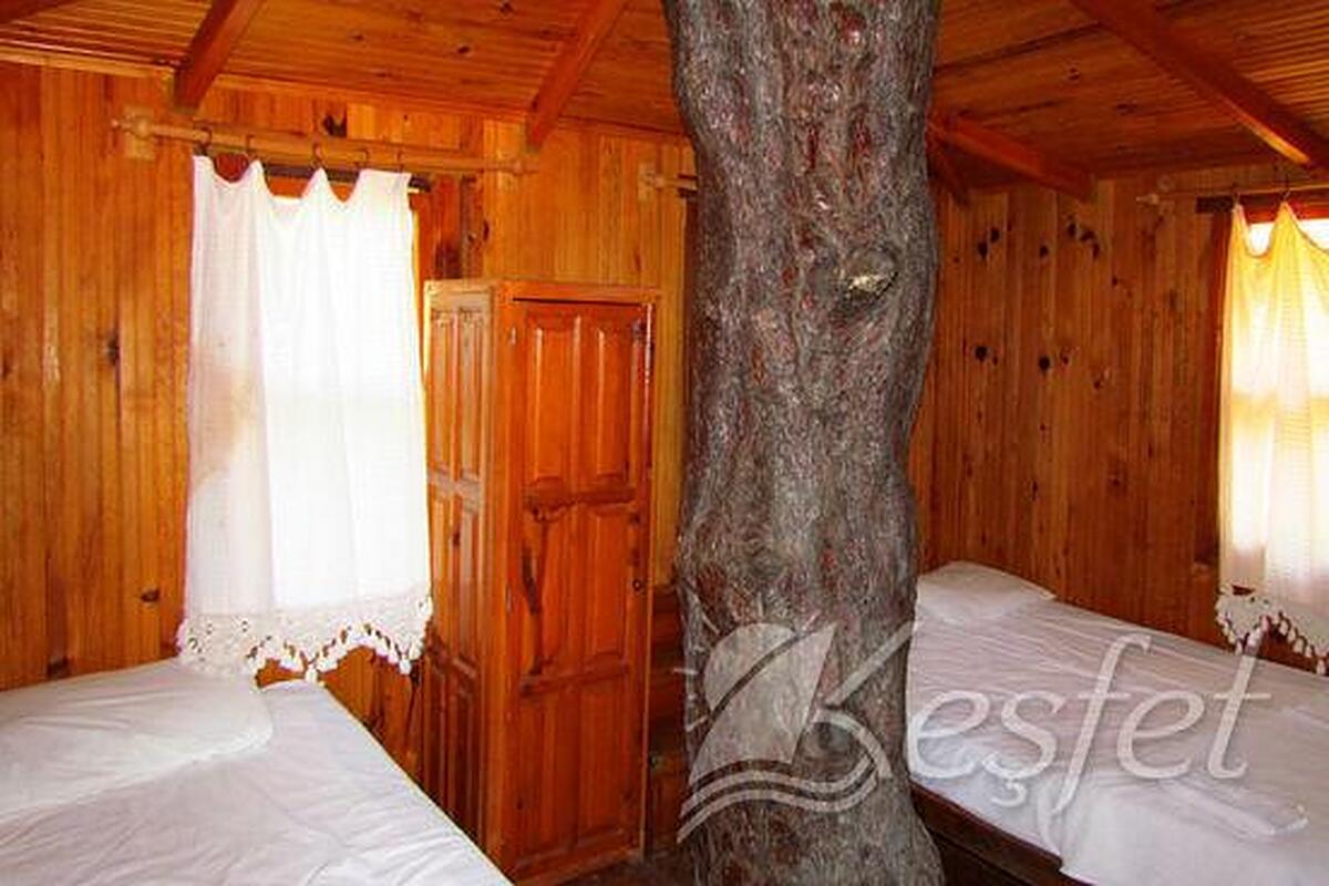 Jungle Bells Hostel
