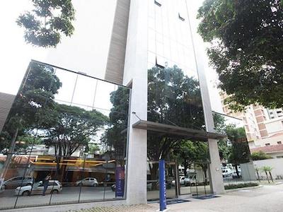 تولیپ این بلو هریزنت