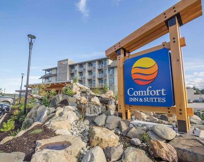 کمفرت این اند سویتز کمپبل ریور