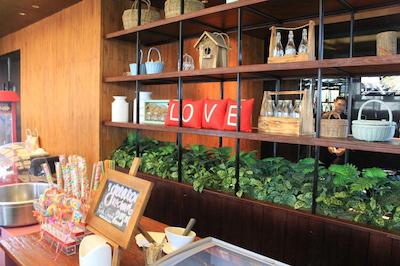 لومینر هتل جمورساری