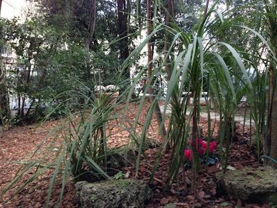 هتل ویلا لیناوز