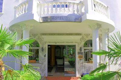 پارک هتل سلینی