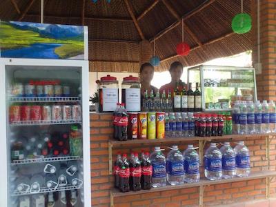 دیم لین گوسدوس