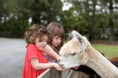 436 رتروا هیدیو لج