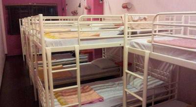 بدز اند دریمز این @ کلارک کوای