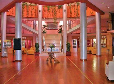 پارتنر ایمرا