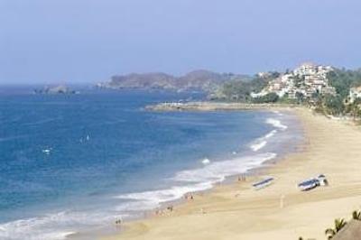 تسُرو مانزانیلو