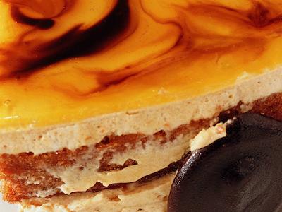 نوتل پرتو گایا