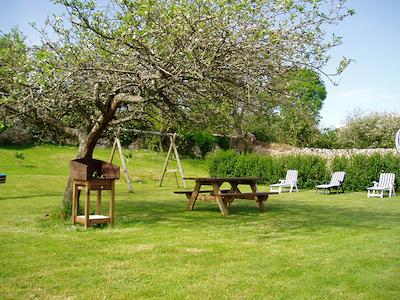 رورال کوارتامنترو