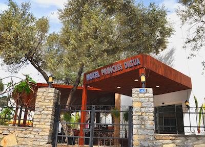 پرینسز دیلتوا