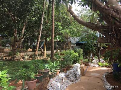 پرینسز اُف کرن