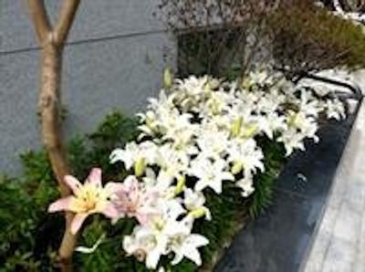 کو هنگدا هستل