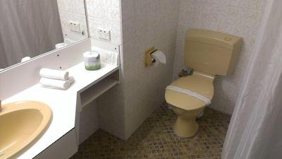 لیندی لج متل