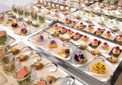 بست وسترن پلاس رسیدنزهتل لونبورگ