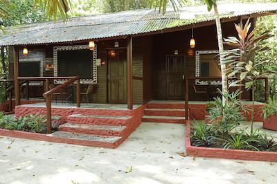 امازن اکپارک جونگل لج