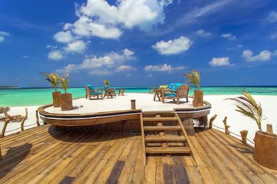 آوی نیچرز پارادایس