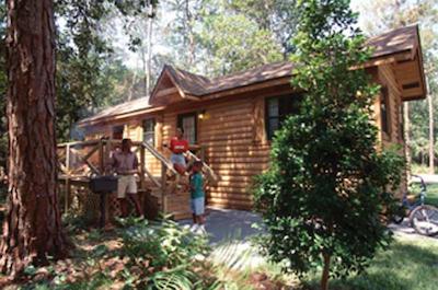 دیسنیز فرت ویلدرنز ریزرت اند کمپگروند