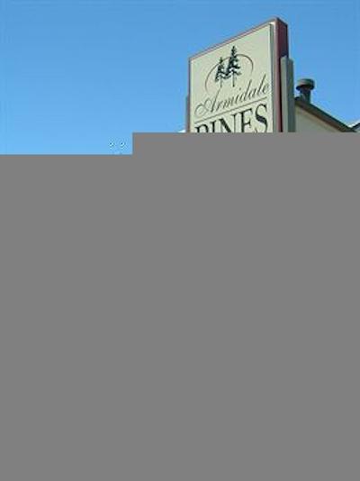 ارمیدال پینز متل