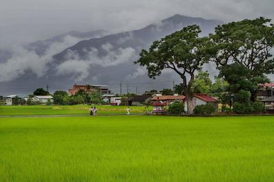 استراوبری میلک ب اند ب