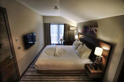 هیلتون گاردن این اسکیسهیر