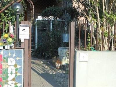 هاپی دز ب اند ب