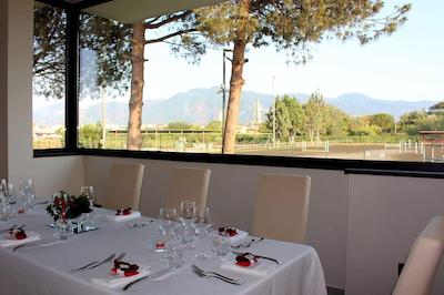 بسو د مدیسی ریزرت