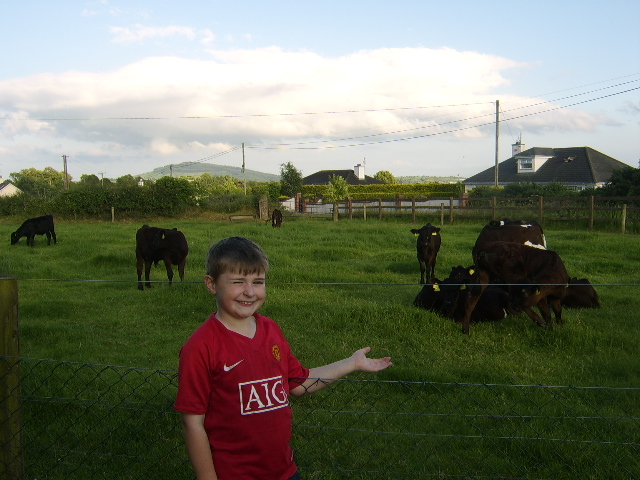 گلنراها فارمهوس ب اند ب