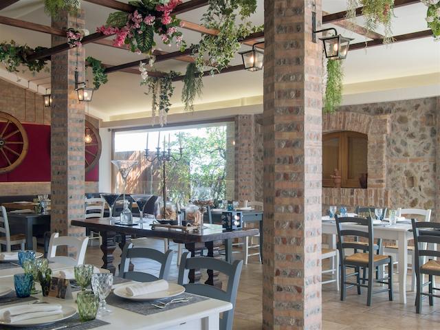 تنوتا کنتسا