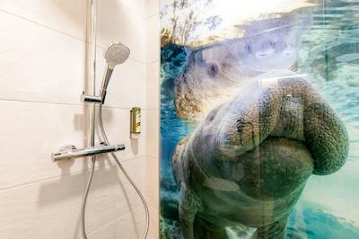 بست وسترن هتل ویسبادن