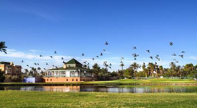 پاویلن دو گولف