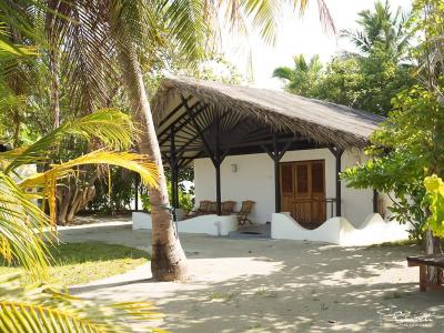 ریهیولی د دریم