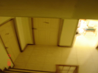 کست گست هاوس