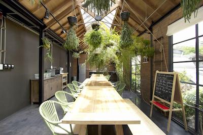 وان دی هاستل سوکهمویت 26