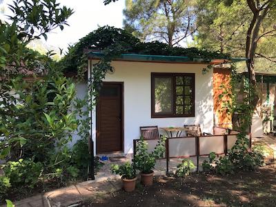 آریا هالیدی هاوسز