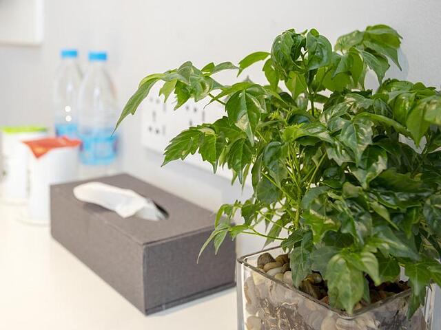 گرین تری گروپ واتیکا هانگژودونگ ریل وی استیشن