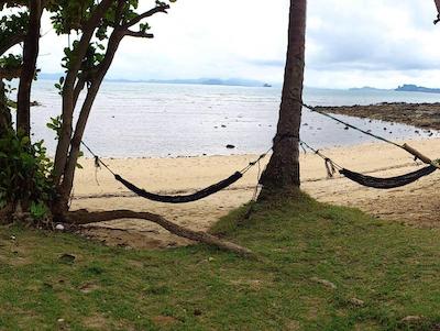 پاین بانگالو