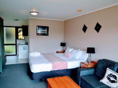 د سالتی داگ این