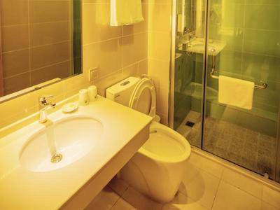 گرین تری این شنیانگ شنه دیستریکت نورت استیشن