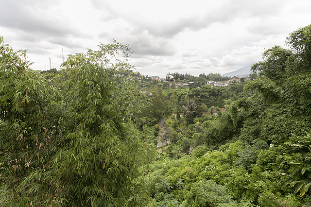 Oyo 3130 Valley