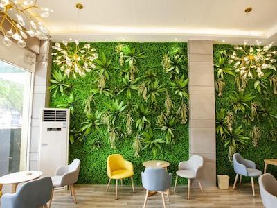 GreenTree Inn GuZhen GuYang Road Experimental