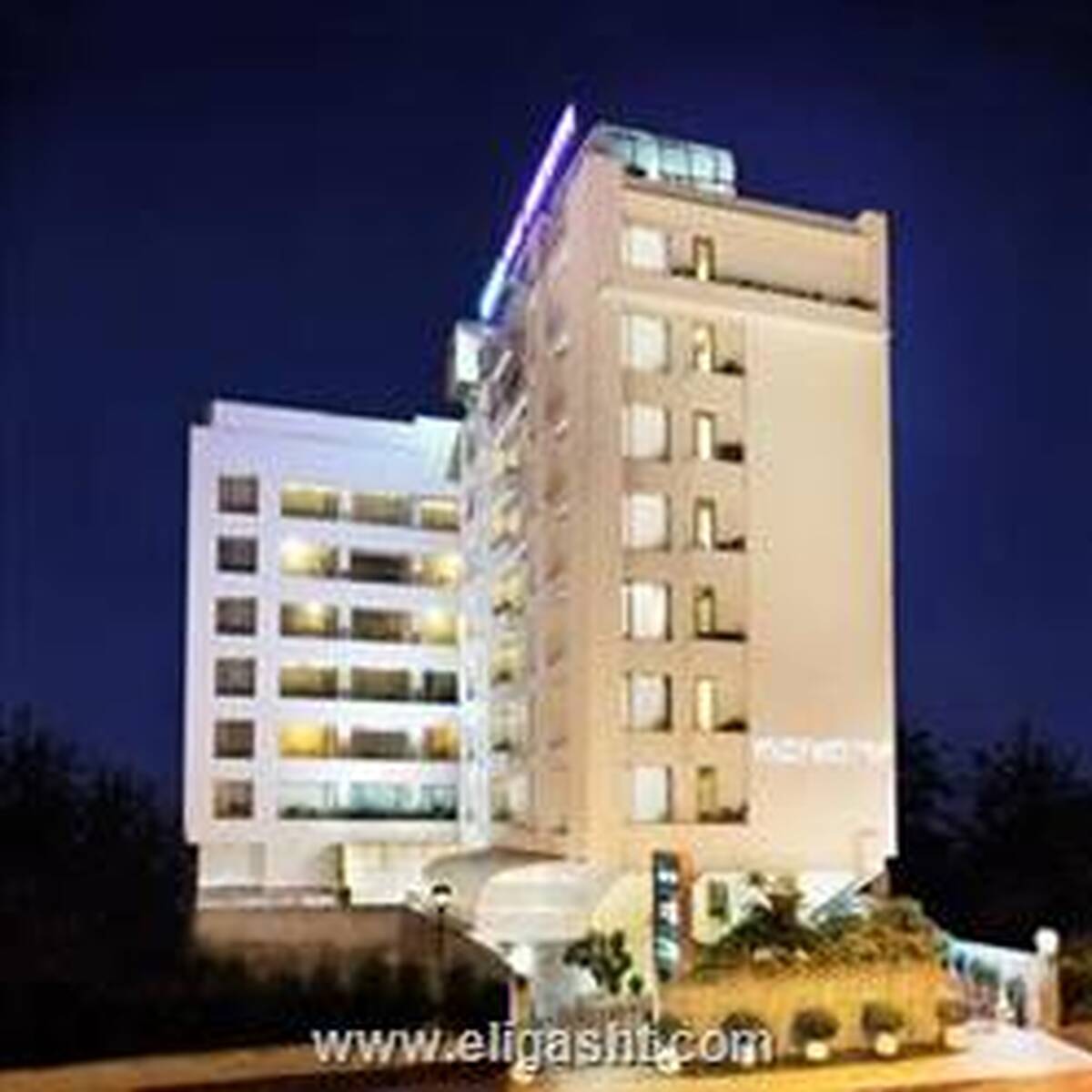 یگی اکزکیوتیو