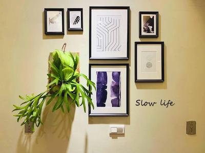 مورن فارست اپارتمنت