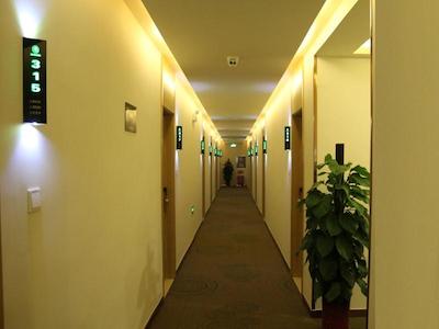 گرین تری این جینان گاوزینگ دیستریکت ساوت گونجی آر