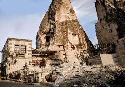 امیلی کاو هاوس