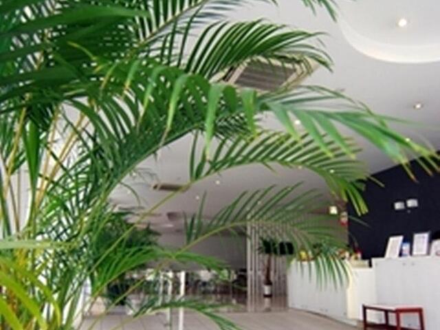 KOTOHIRA PARK HOTEL