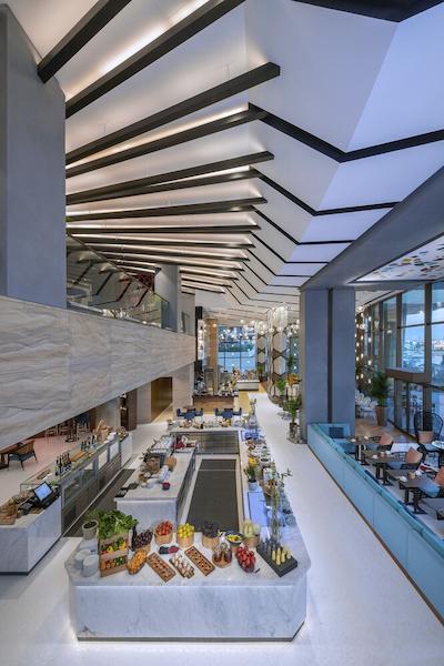 انداز دوبی د پالم رزیدنس