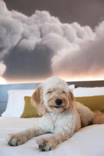 نووتل تورنتو سنتر