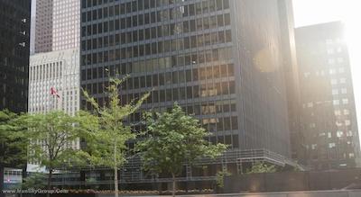 هیلتون تورنتو