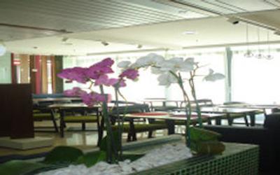 نووتل رما یور