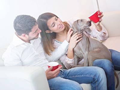 نووتل رما یور